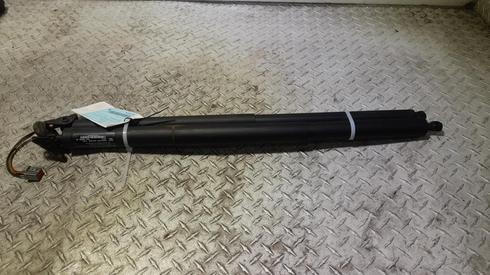View Auto part Hatch Strut Ford Kuga 2015