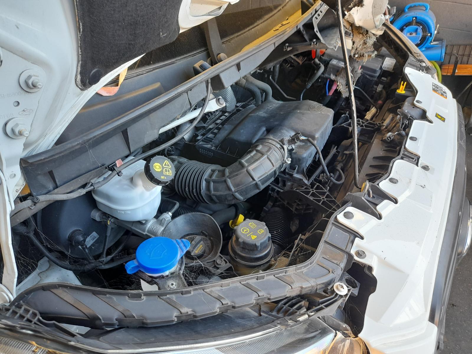 View Auto part Engine Ford Transit 2019