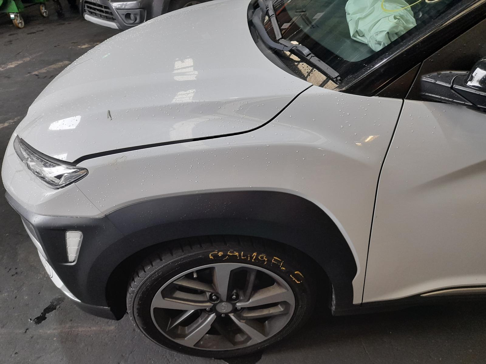 View Auto part Left Guard Hyundai Kona 2019