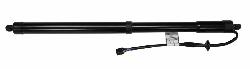 View Auto part Hatch Strut Kia Carnival/grand Carnival 2018