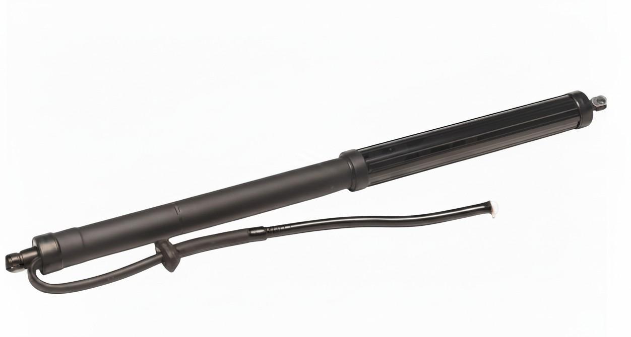 2023 Toyota Rav4 Hatch Strut View Auto part Hatch Strut Toyota Rav4 2023