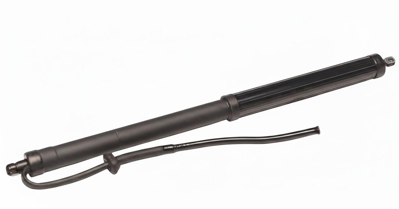2023 Toyota Rav4 Hatch Strut View Auto part Hatch Strut Toyota Rav4 2023