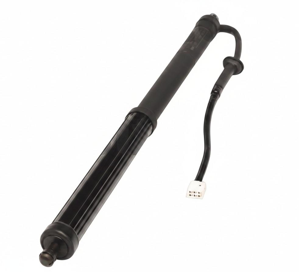 View Auto part Hatch Strut Toyota Rav4 2023
