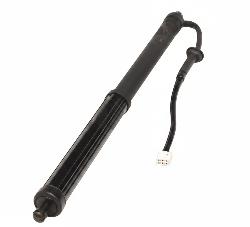 View Auto part Hatch Strut Toyota Rav4 2023