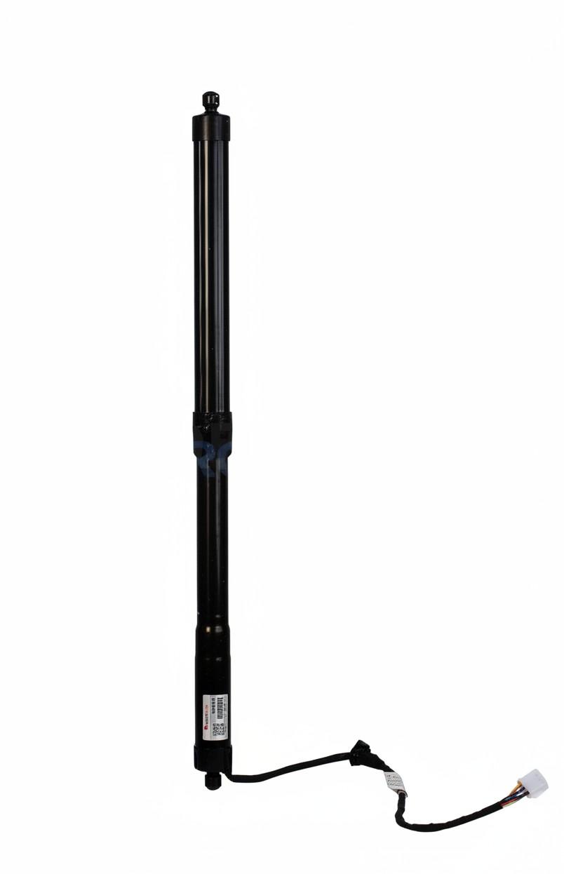 2023 Toyota Rav4 Hatch Strut View Auto part Hatch Strut Toyota Rav4 2023