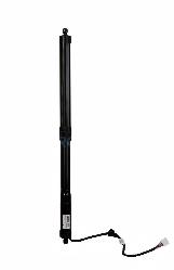 View Auto part Hatch Strut Toyota Rav4 2023