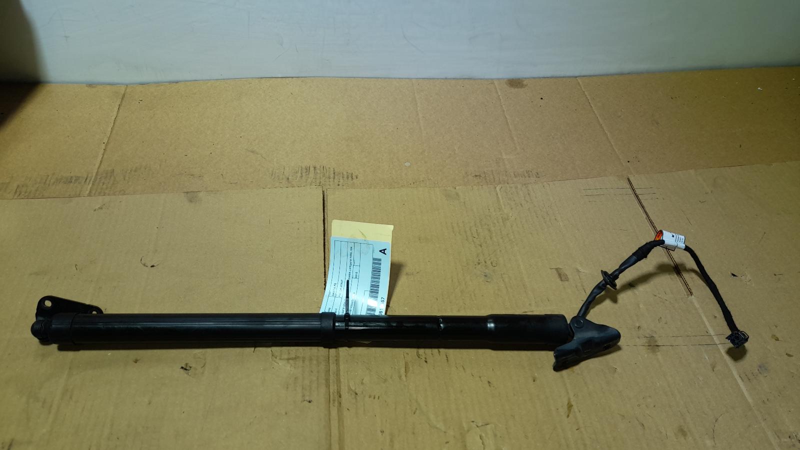 View Auto part Hatch Strut Hyundai Santa Fe 2015