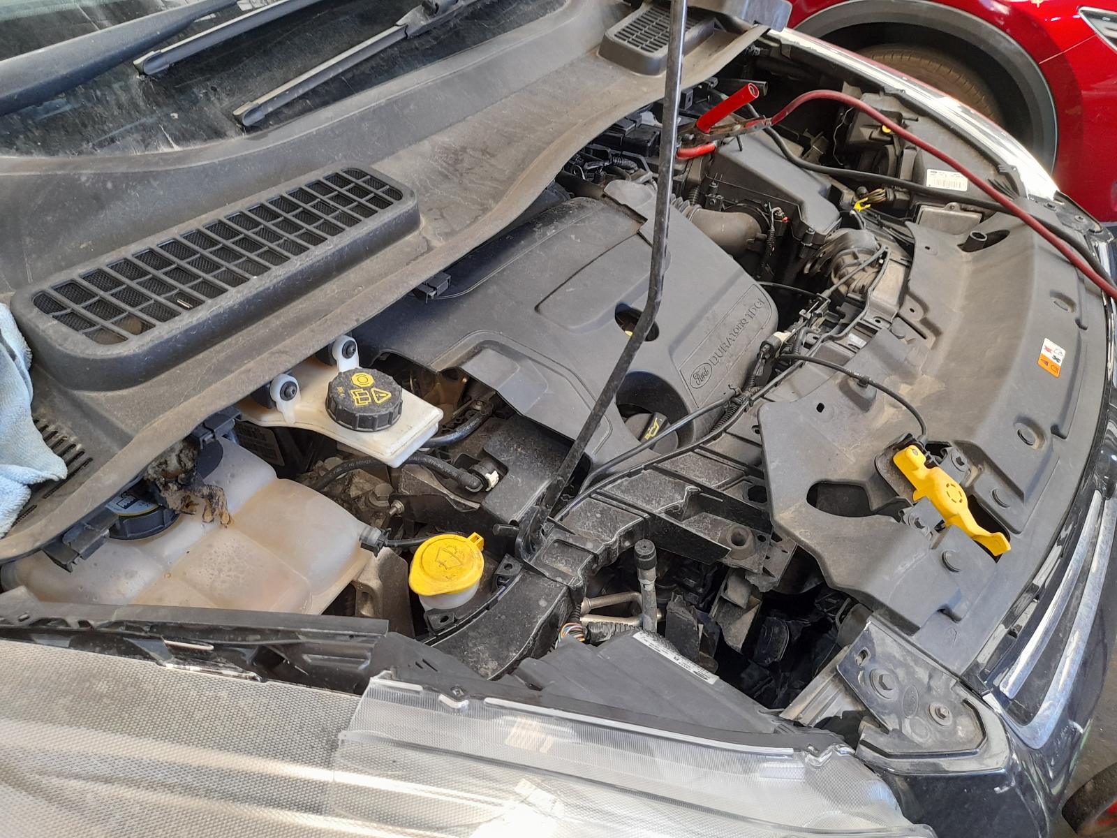 View Auto part Particulate Filter/Dpf Ford Kuga 2013