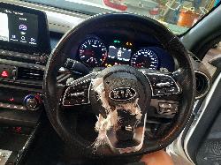 View Auto part Rear Garnish Kia Cerato 2019