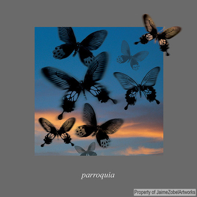 Parroquia butterflies