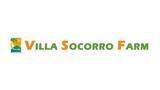 Villa Socorro Healthy Chips Inc.