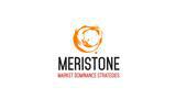 Meristone IT Services