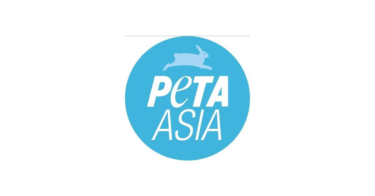 Working at PETA Asia , Job Opening & Hiring October 2023 Kalibrr