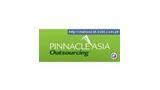 www.pinnacleasiaoutsourcing.com