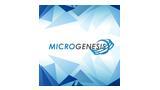 Microgenesis Business Systems