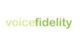 Voice Fidelity Enterprises