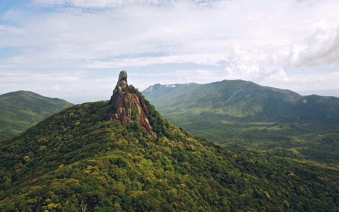 daintree rainforest - kesari tours to visit famous places in Australia
