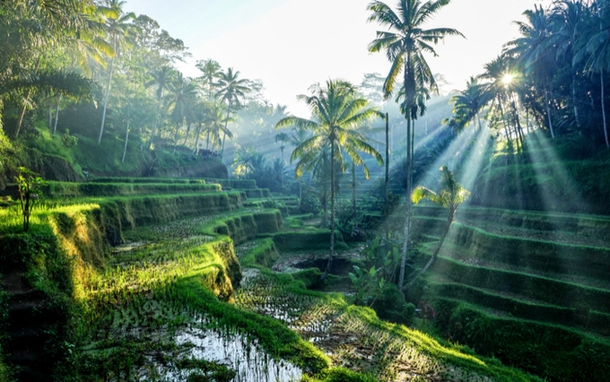 Instagrammable places Indonesia
