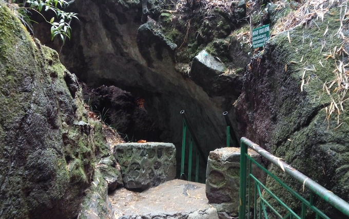 Eco Cave Gardens