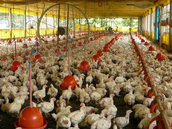 d530c682804d27ed4a84ae9e2bab5e0e893dabdc