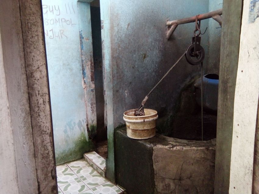 Tak Cukup Jual Ikan Hias Untuk Hidup Yuk Bantu