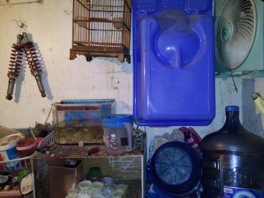 Tak Cukup Jual Ikan Hias Untuk Hidup Yuk Bantu