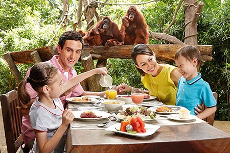 ãsingapore zoo jungle breakfastãã®ç»åæ¤ç´¢çµæ