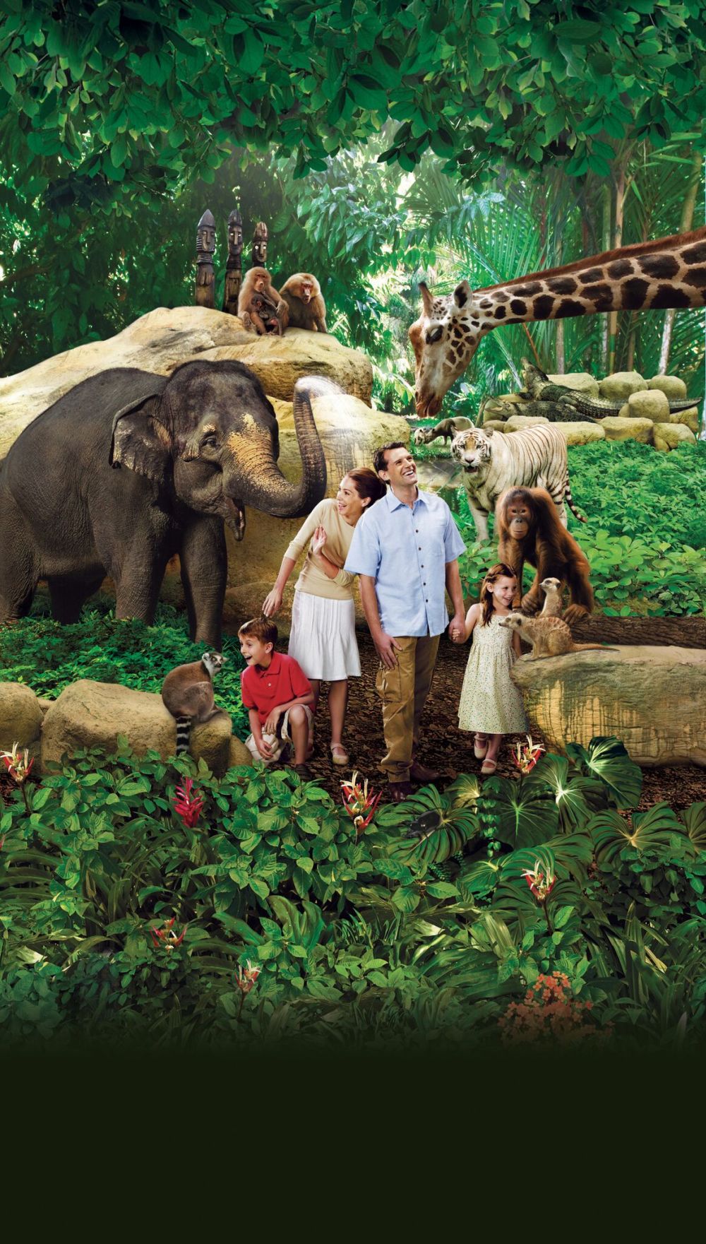 tickets get discount zoo where to Ride Offer Singapore Zoo Ticket (Tram Discount included)