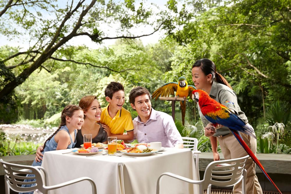 Jurong Bird Park with Tram Ride Included [Open Ticket]