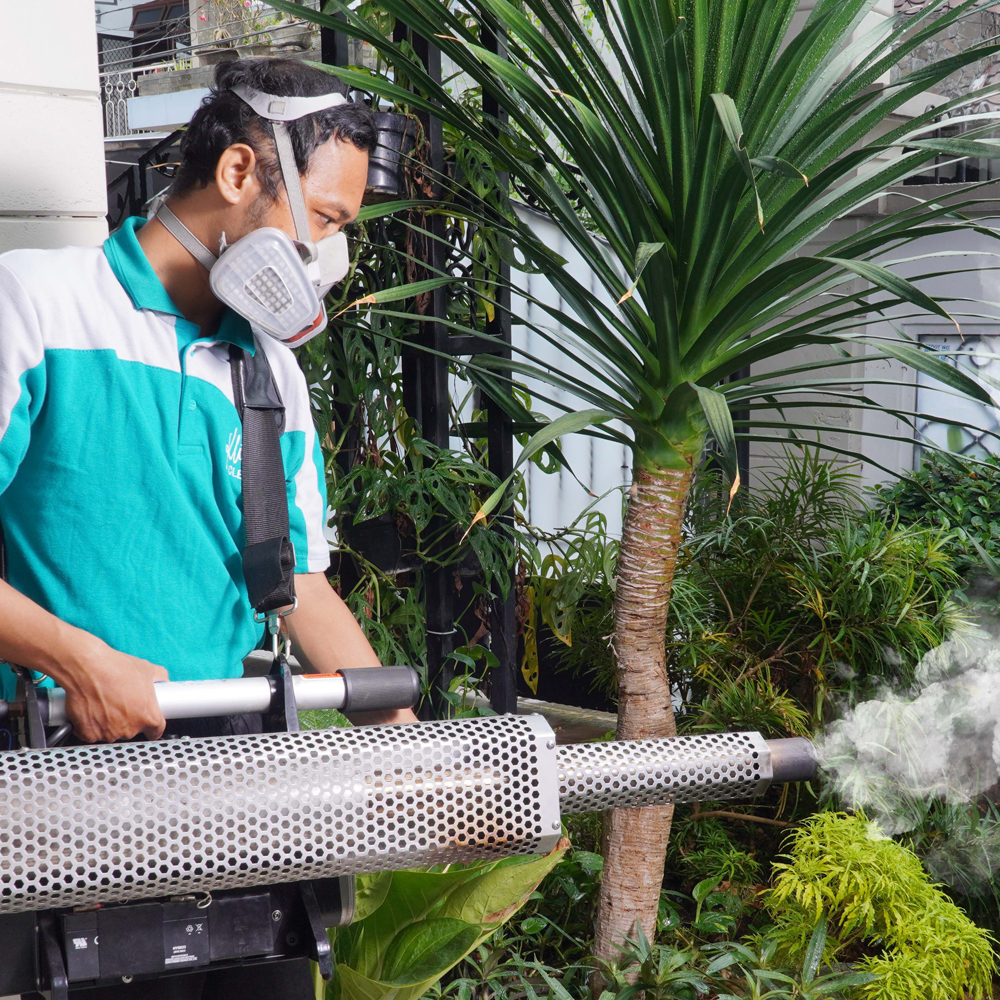 paket-fogging-terbaik