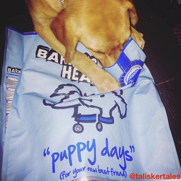 Barking Heads for Puppies & Senior Dogs