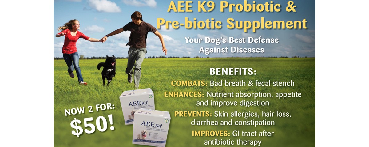 AEE K9+ Probiotic & Prebiotic Supplement for Dog– Kohepets - Prebiotic Dog Food For Food Allergies