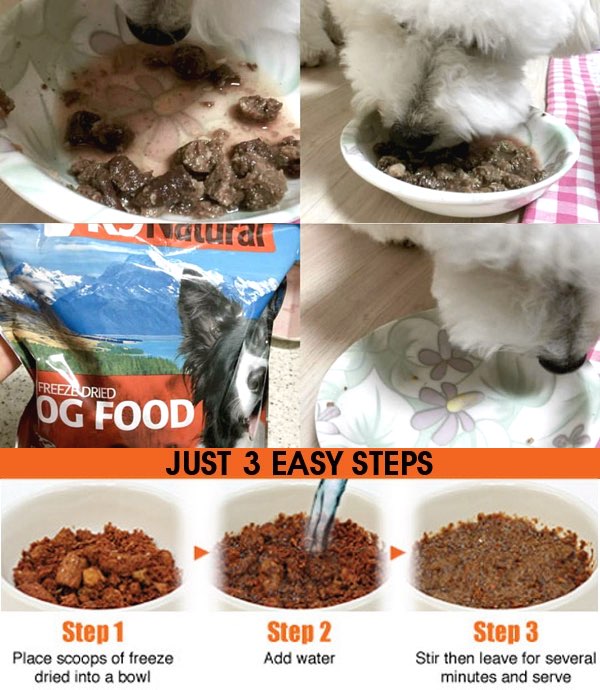 K9 Natural Food & Treats