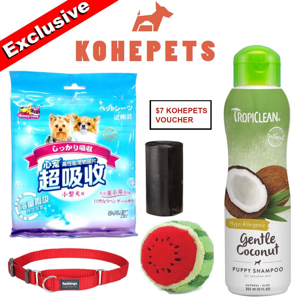 Kohepets Puppy Starter Pack
