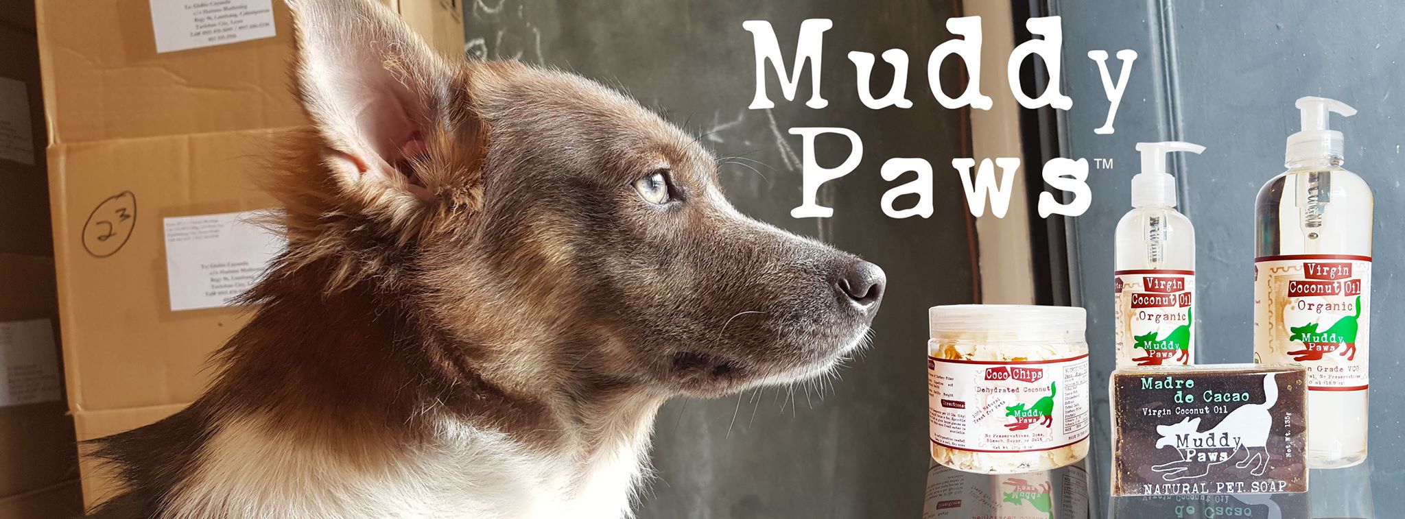 is-coconut-oil-ok-for-dogs-paws
