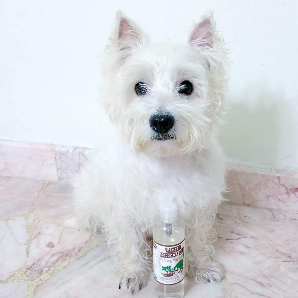 Muddy Paws Organic Cold Pressed Virgin Coconut Oil