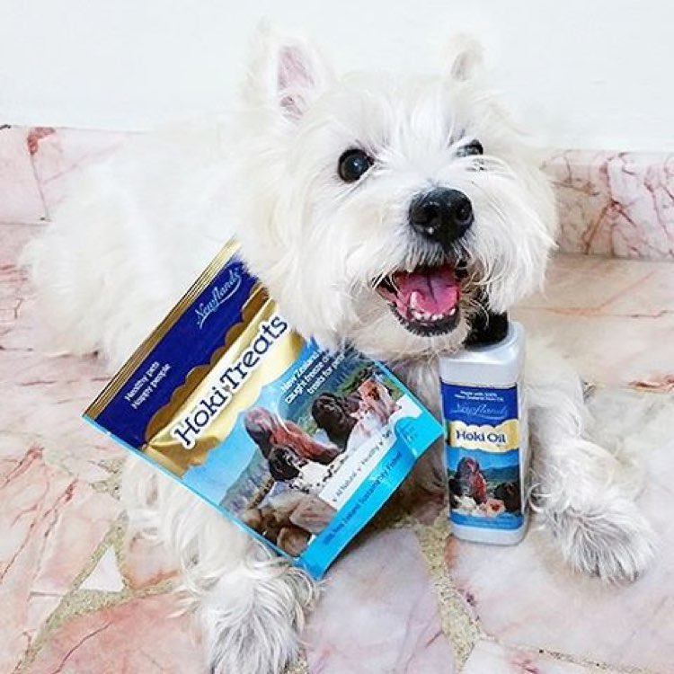 Benefits of Hoki Fish Oil & Omega 3