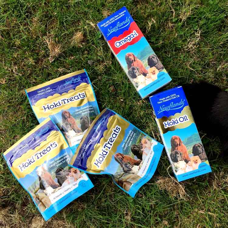 Newflands Hoki Fish Oil