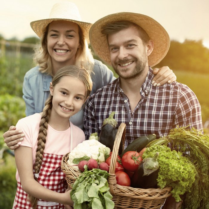 A Healthy Lifestyle Begins In The Bowl
