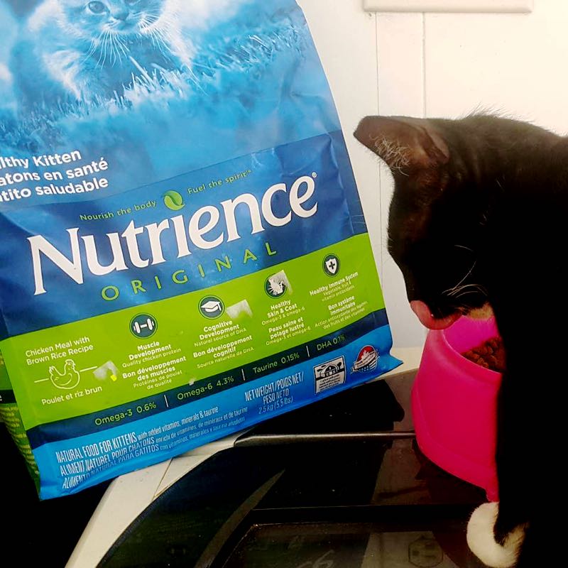 Nutrience Pet Food Made with Purpose Kohepets