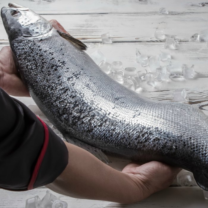 More Than Fresh Raw Meat