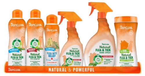 Prevention & Treatment