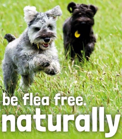 More Playing, Less Scratching