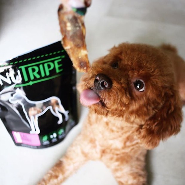 Nutripe - They Just Love It.