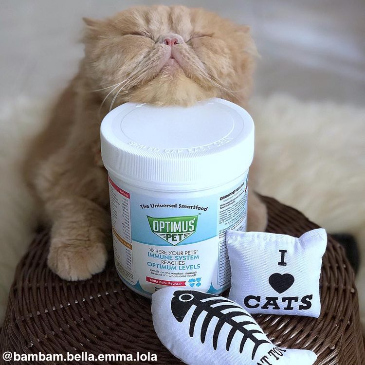 Optimus Pet - Suitable For All Animals