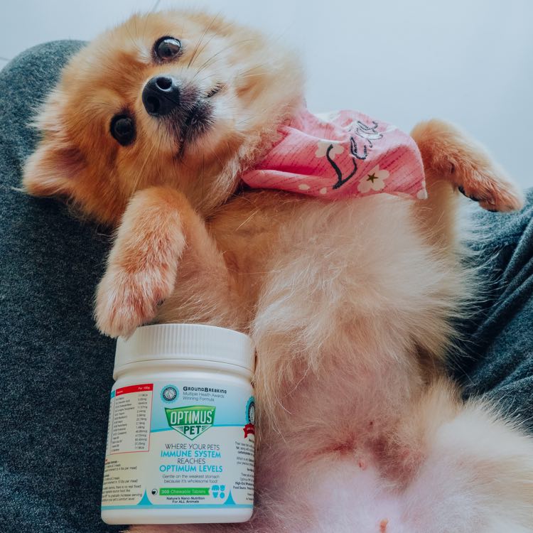 Optimus Pet Supplement