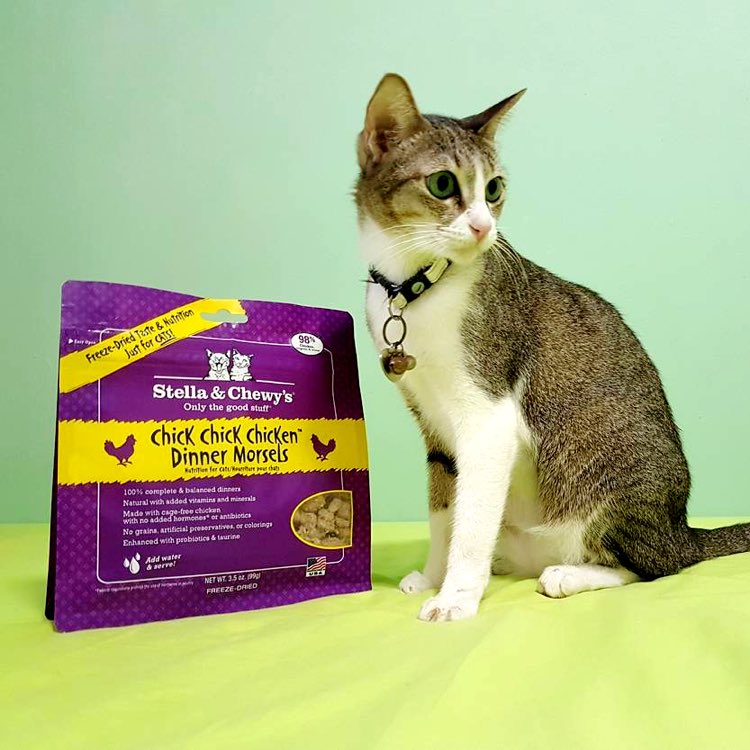 Dinner Morsels, The Wild Diet Your Cats Crave!