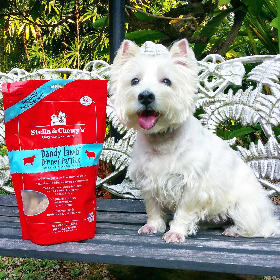Dinner Patties, The Wild Diet Your Dogs Crave!