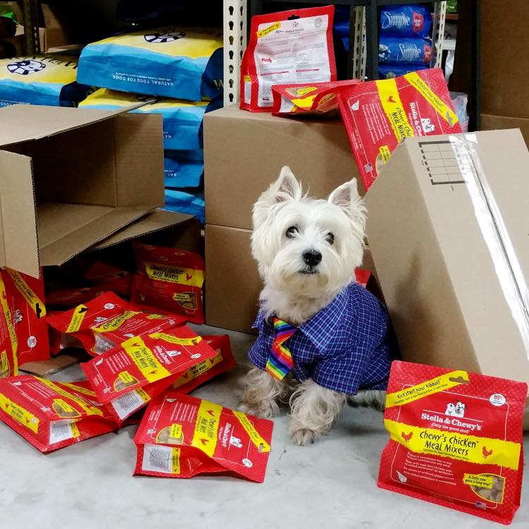 Kickstart Your Kibble with Meal Mixers!