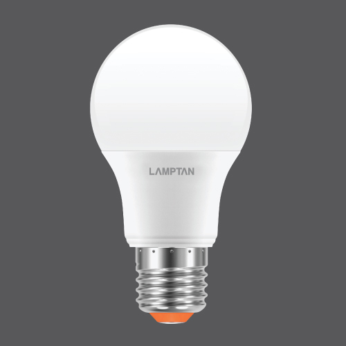 Led bulb bright 6w web